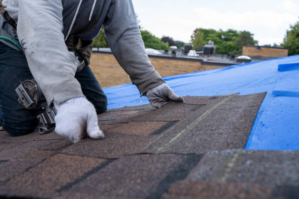Roof Repair Estimates in Warren Park, IN