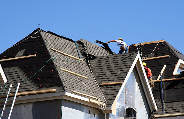 Best Local Roofing Companies  in Warren Park, IN