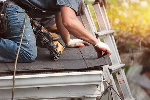 Best Flat Roof Repair Services  in Warren Park, IN