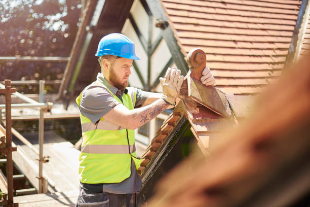 Best Metal Roofing Contractor  in Warren Park, IN