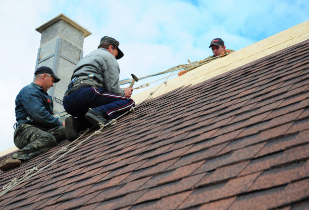 Best Commercial Roofing Services  in Warren Park, IN
