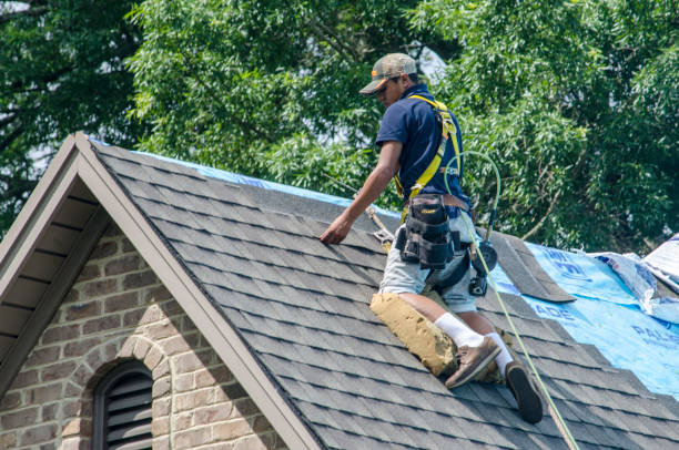 Gutter Installation and Roofing in Warren Park, IN